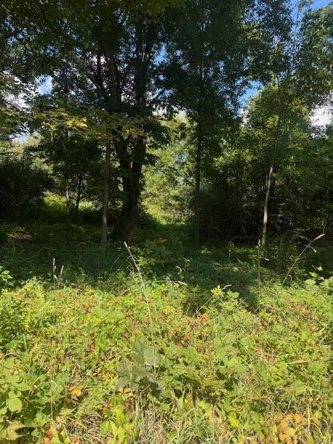 Parcel B Maple Grove Hastings, MI 49058 - Photo 8 of 9 maple 8