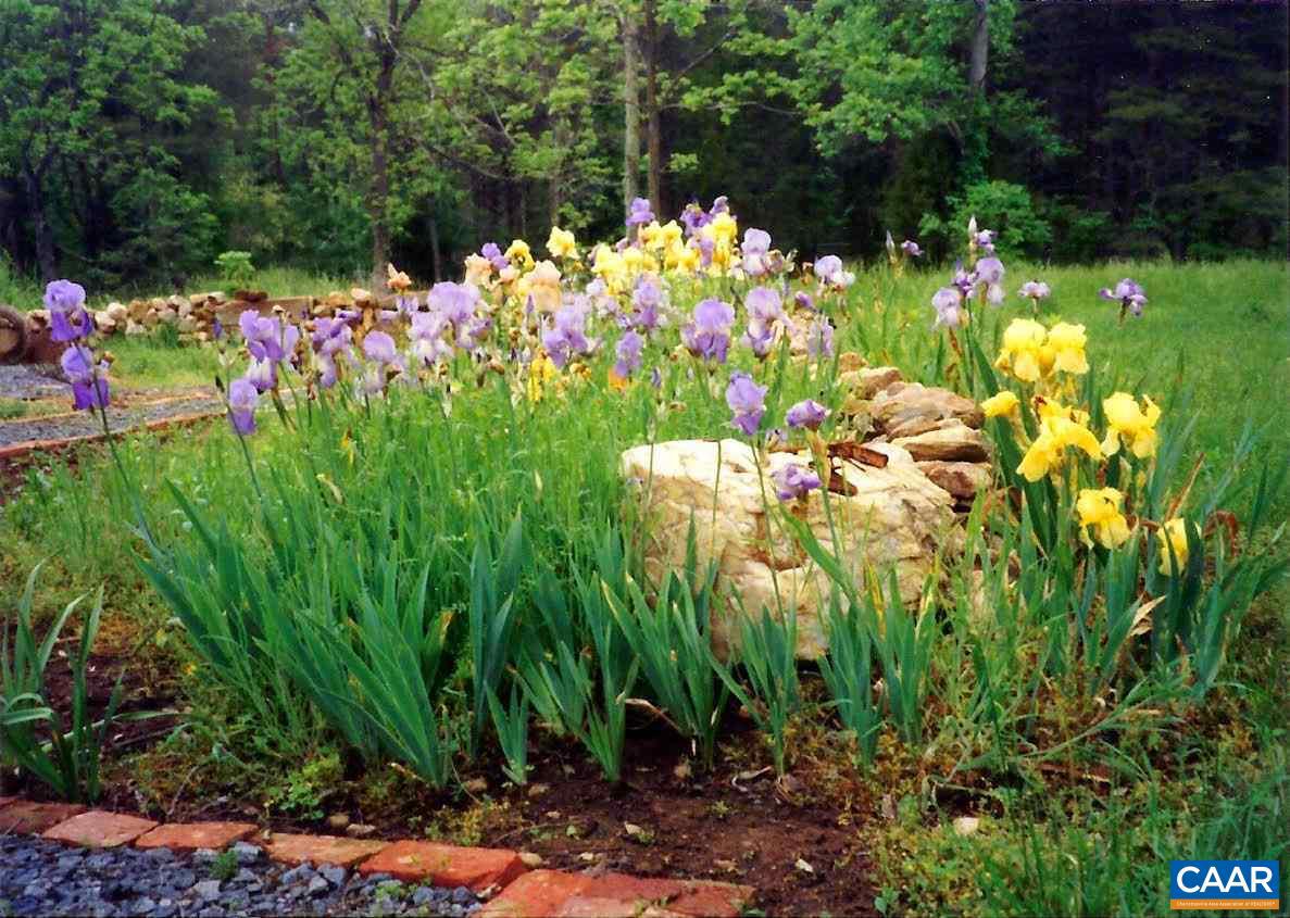 356 White Walnut Road Louisa, VA 23093 - Photo 14 of 25 Gallery Image 14