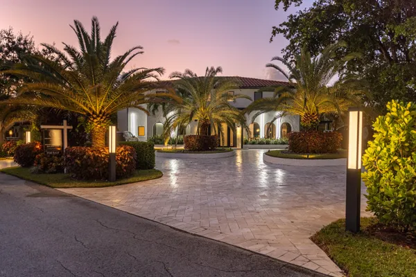 a view of a yard with plants and trees