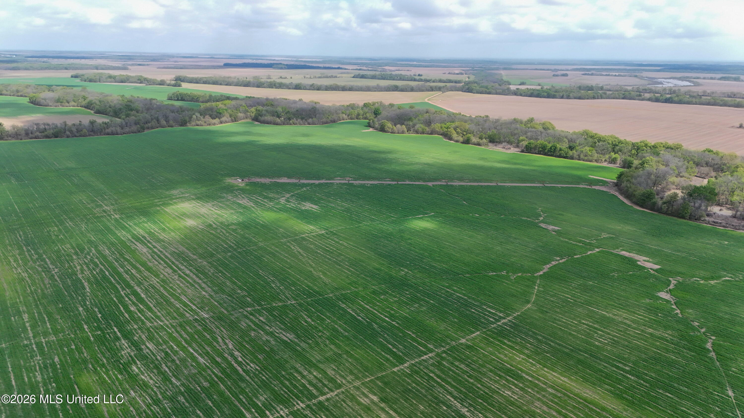 West Sturdivant White Rock Road Drew, MS 38737 - Photo 11 of 25 dji_fly_20260331_130948_0100_17749762163