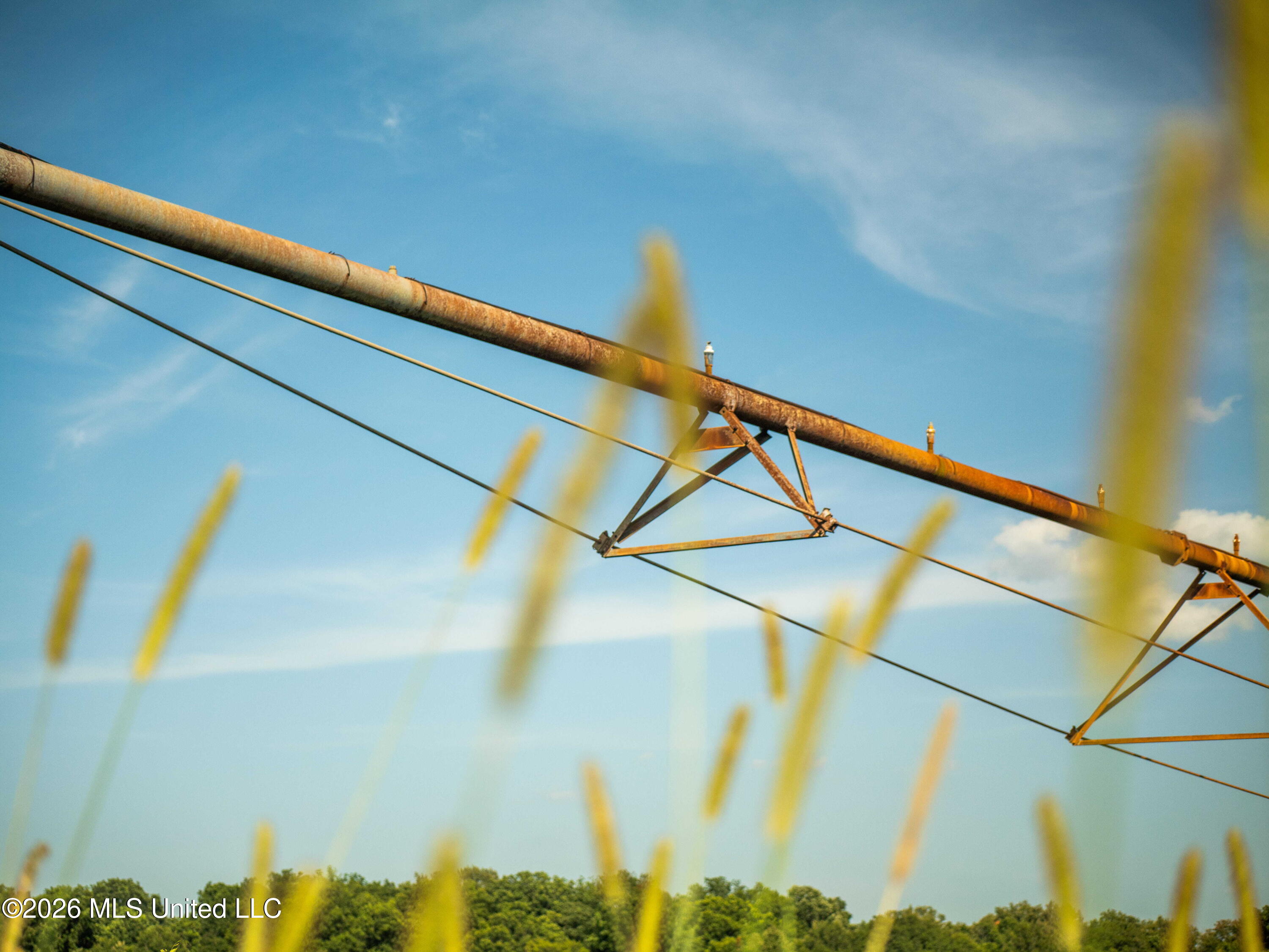 West Sturdivant White Rock Road Drew, MS 38737 - Photo 13 of 25 P1016152