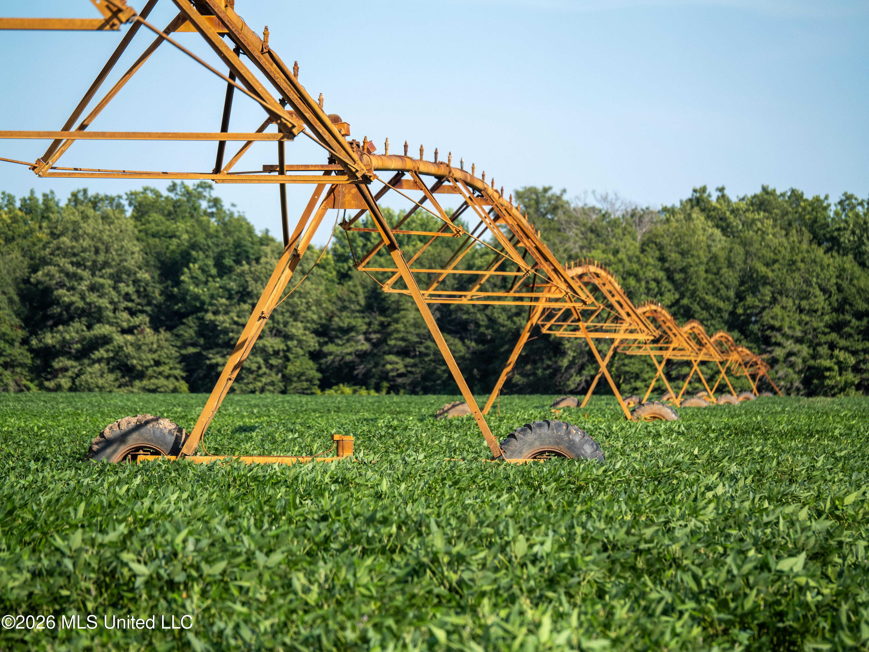 West Sturdivant White Rock Road Drew, MS 38737 - Photo 14 of 25 P1016156-2