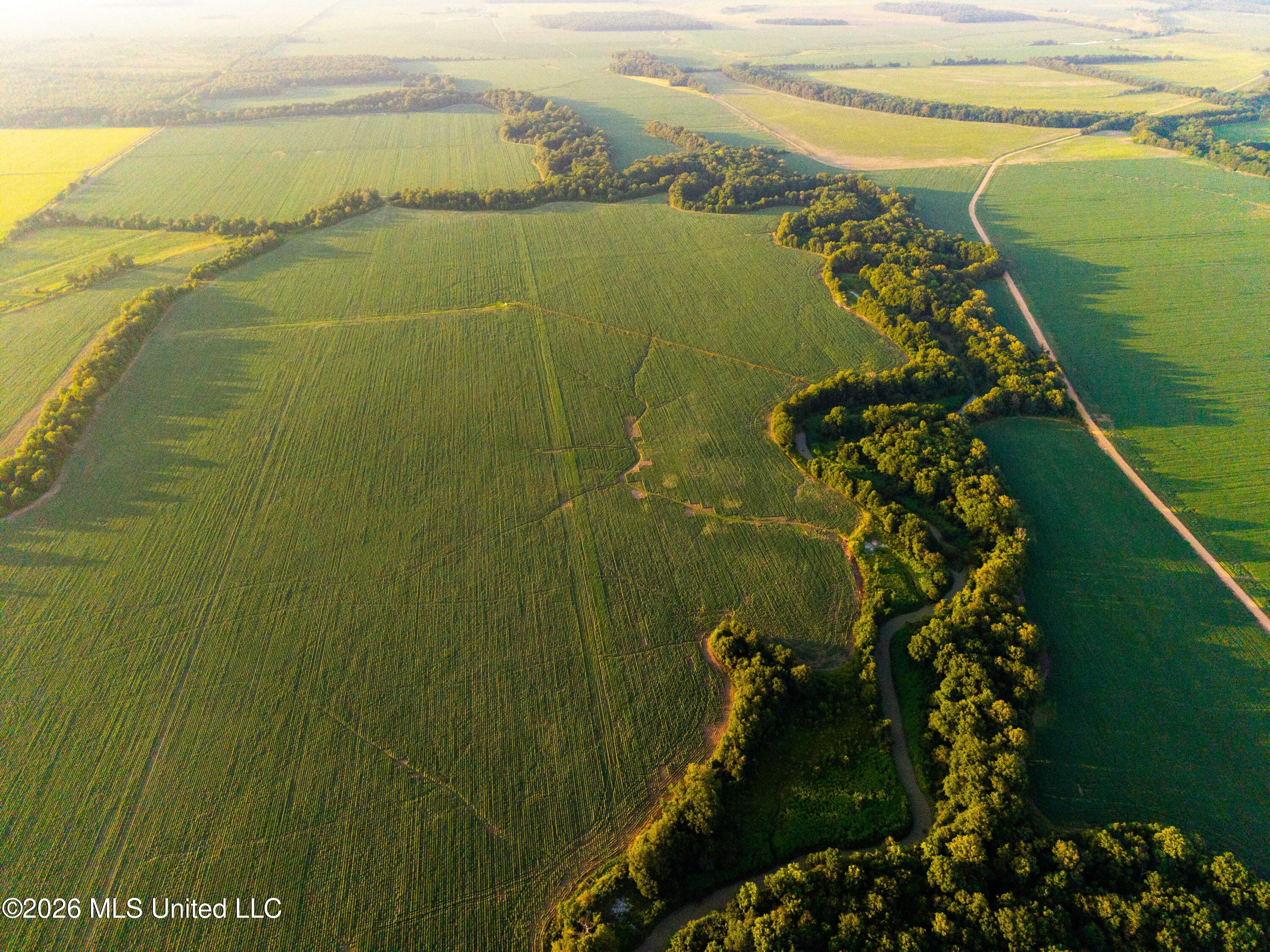 West Sturdivant White Rock Road Drew, MS 38737 - Photo 15 of 25 DJI_20250722192919_0062_D