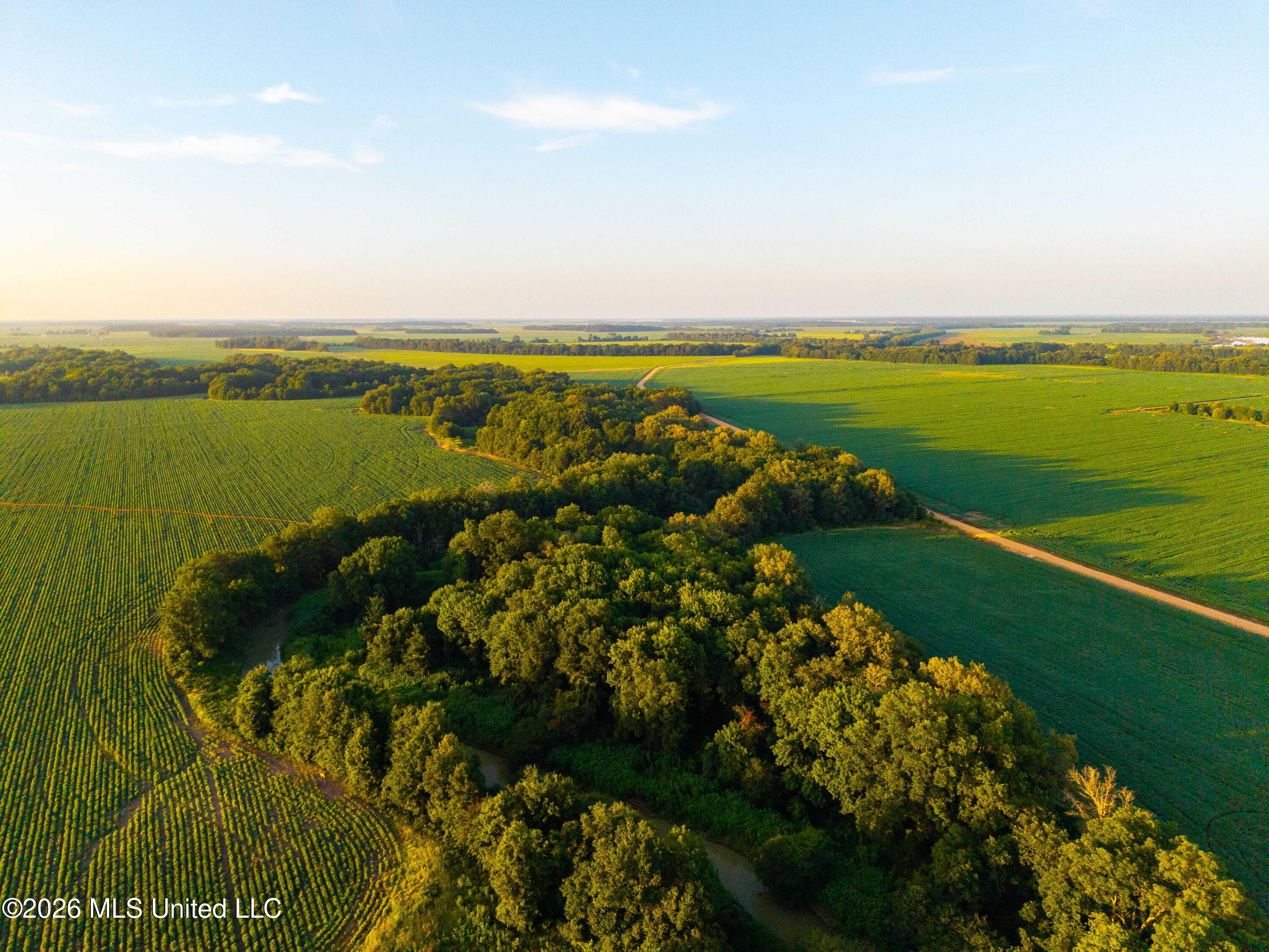 West Sturdivant White Rock Road Drew, MS 38737 - Photo 17 of 25 DJI_20250722193049_0066_D