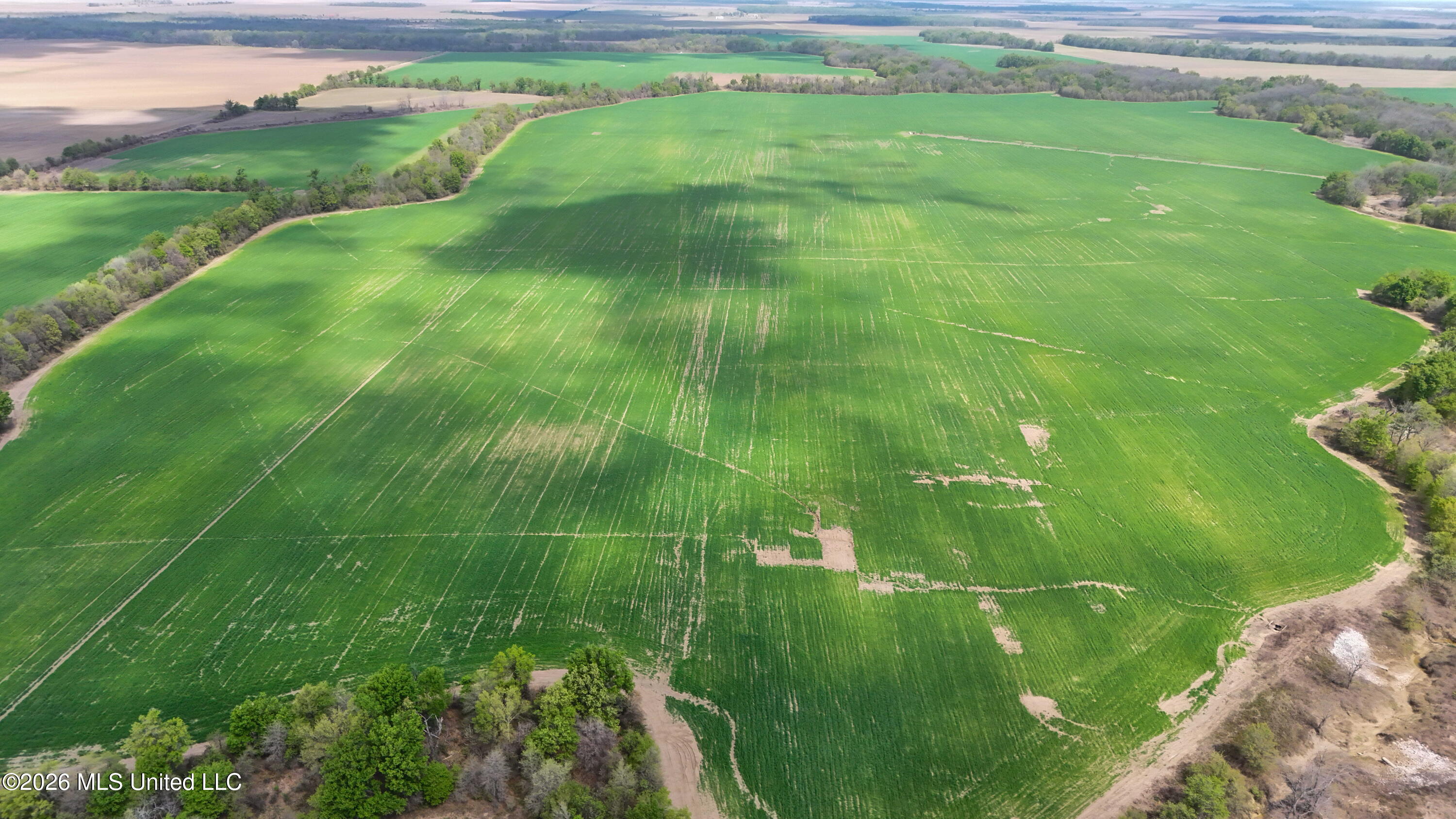 West Sturdivant White Rock Road Drew, MS 38737 - Photo 19 of 25 dji_fly_20260331_130738_0093_17749762239