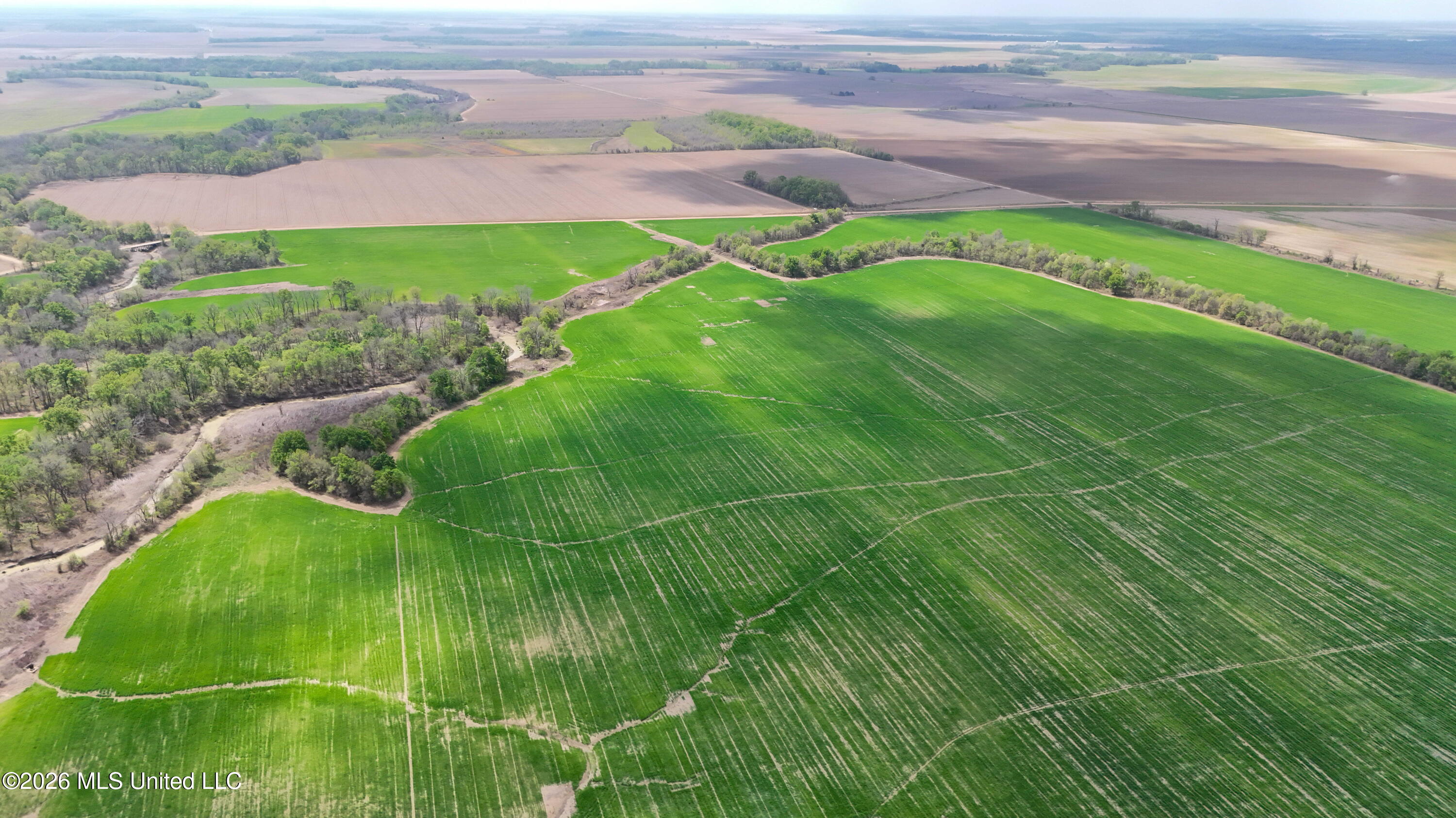 West Sturdivant White Rock Road Drew, MS 38737 - Photo 2 of 25 dji_fly_20260331_131144_0103_17749762008