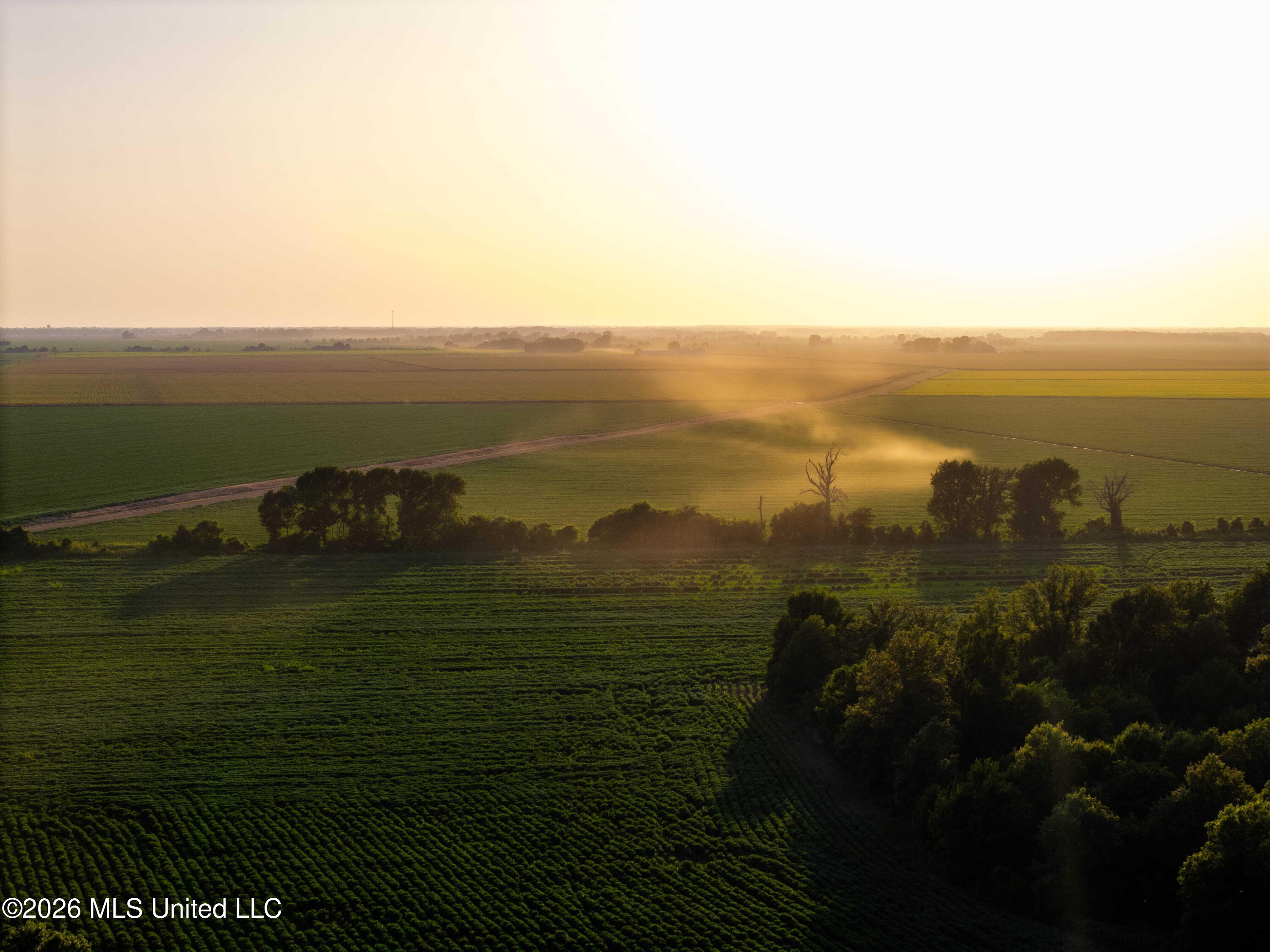 West Sturdivant White Rock Road Drew, MS 38737 - Photo 24 of 25 DJI_20250722192515_0054_D