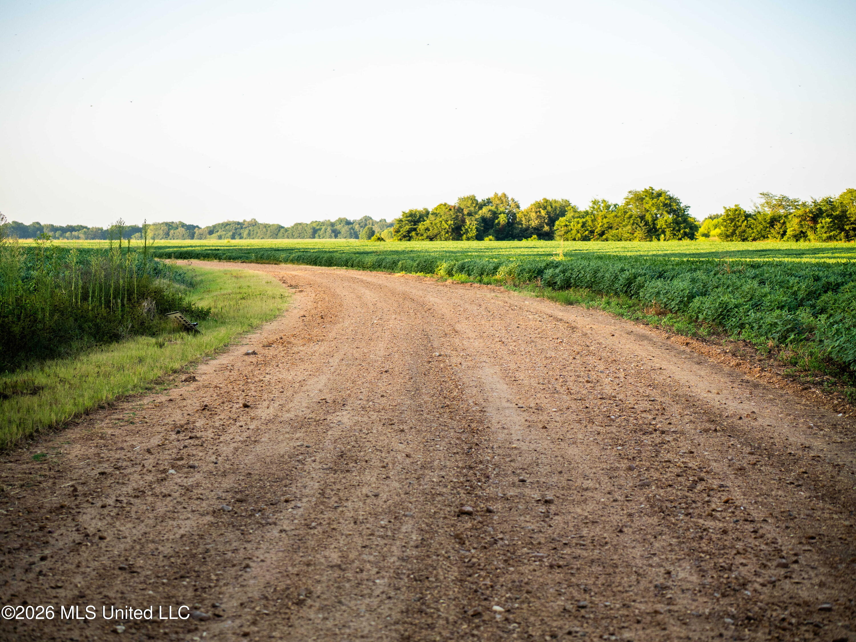 West Sturdivant White Rock Road Drew, MS 38737 - Photo 5 of 25 P1016198