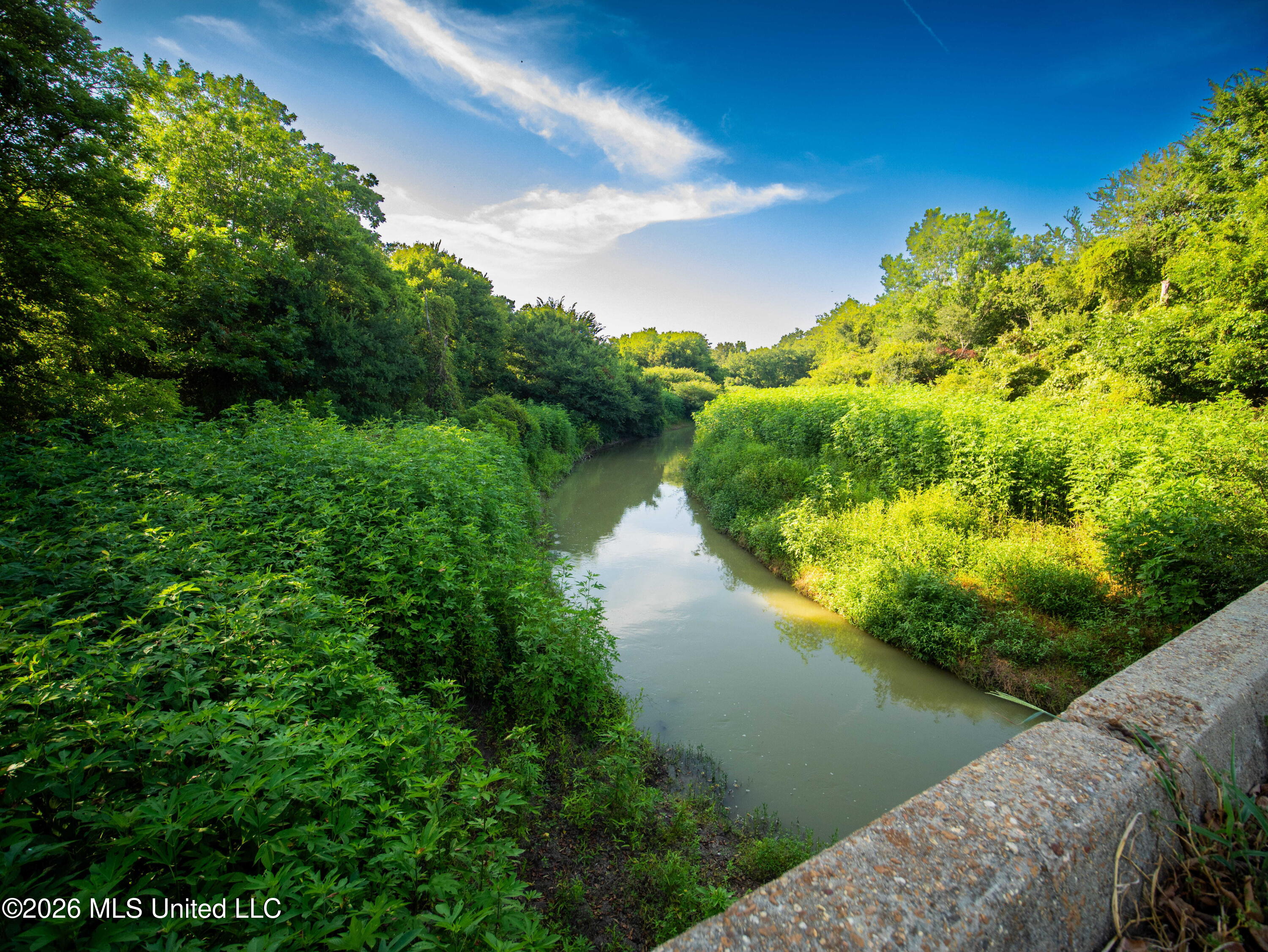 West Sturdivant White Rock Road Drew, MS 38737 - Photo 7 of 25 P1016168