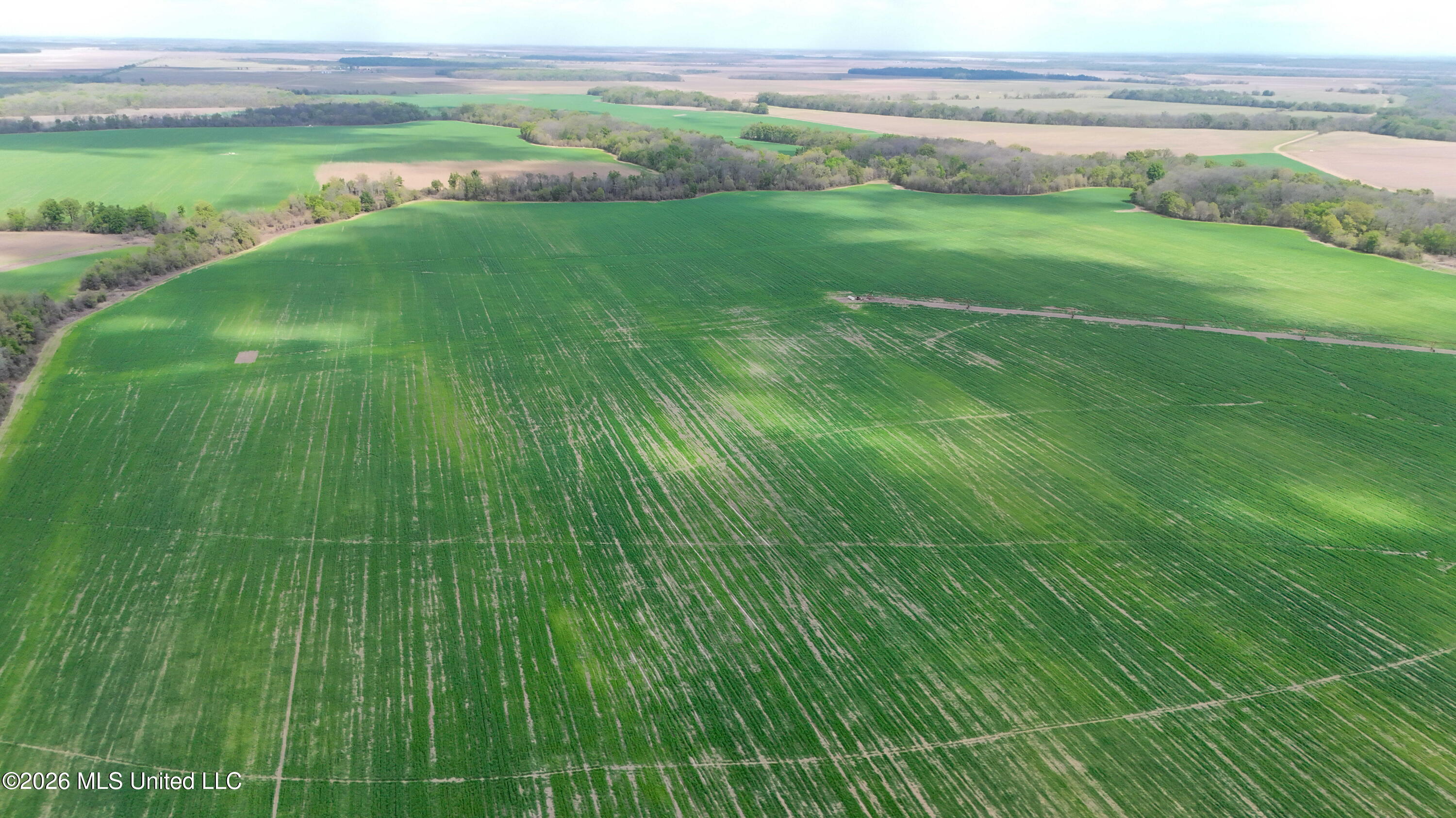 West Sturdivant White Rock Road Drew, MS 38737 - Photo 10 of 25 dji_fly_20260331_130940_0099_17749762178