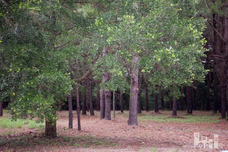 5 East Rolling Meadows Road Hampstead, NC 28443 - Photo 3 of 3 Additional Photo