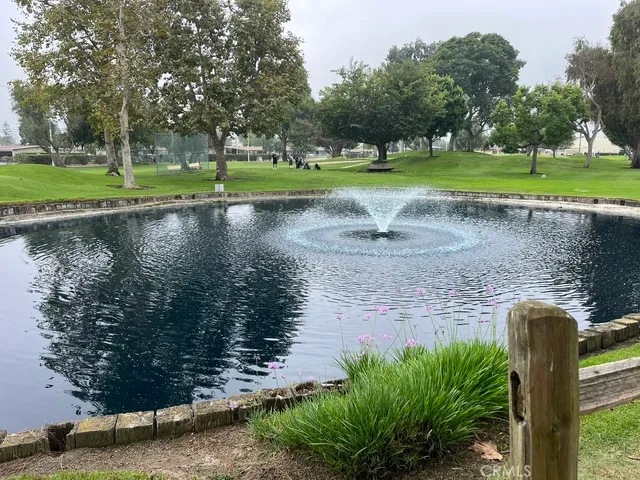 a view of a park that has large trees