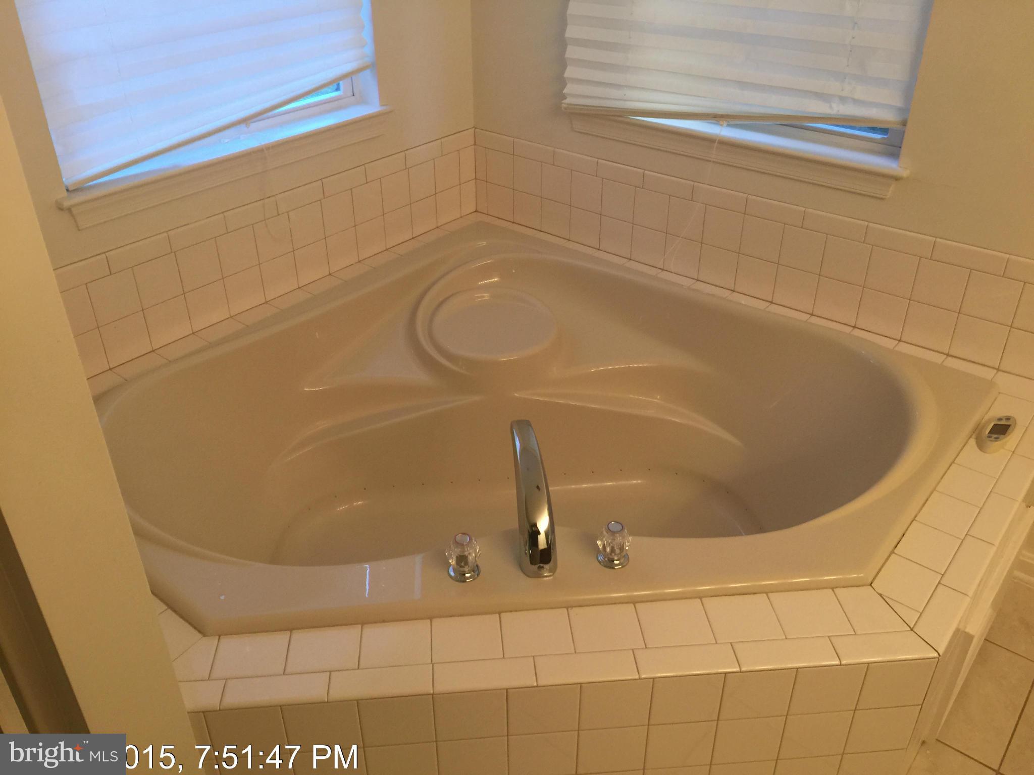 8743 Mission Road Jessup, MD 20794 - Photo 17 of 26 Bath (Master)