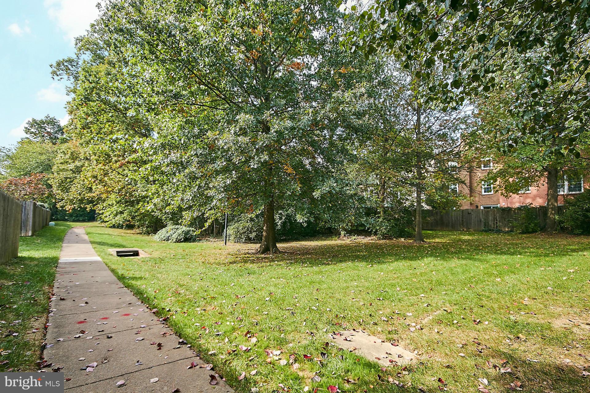 7052 Leestone Street Springfield, VA 22151 - Photo 28 of 30 TH Backs to Trees and Common Area