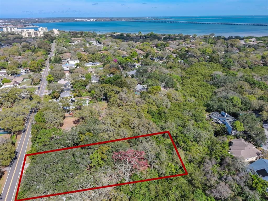 1971 Wolford Road Clearwater, FL 33760 - Photo 3 of 10