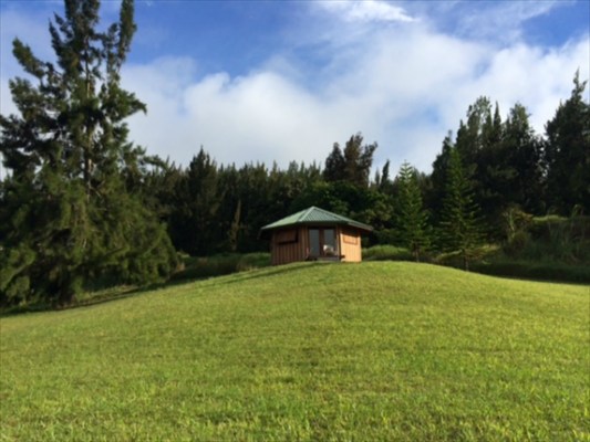 41-1471 Homestead Road Paauilo, HI 96776 - Photo 8 of 18 Gallery Image 8