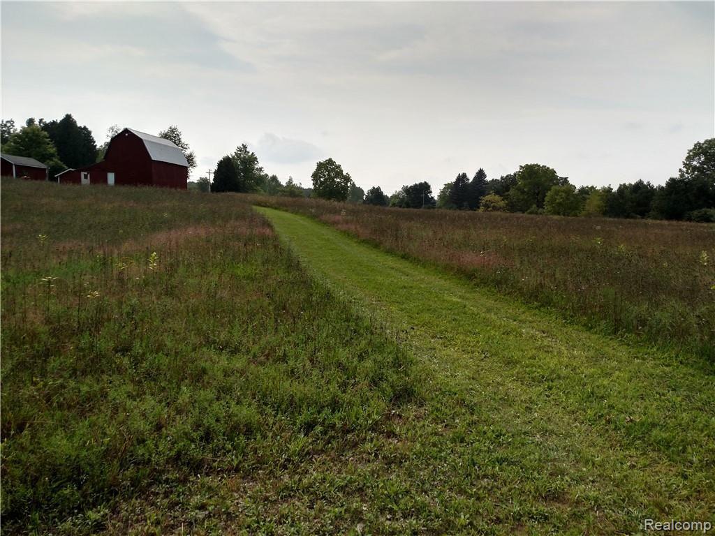 6200 Willits Road Fostoria, MI 48435 - Photo 24 of 37 Trail leading back up to Barn and House, nice large open property in the front with plenty heavy woods and trails in the back! Lots of Privacy! Excellent Location!!