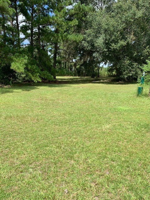 1481 River Road Lakeland, GA 31635 - Photo 8 of 32 Gallery Image 8