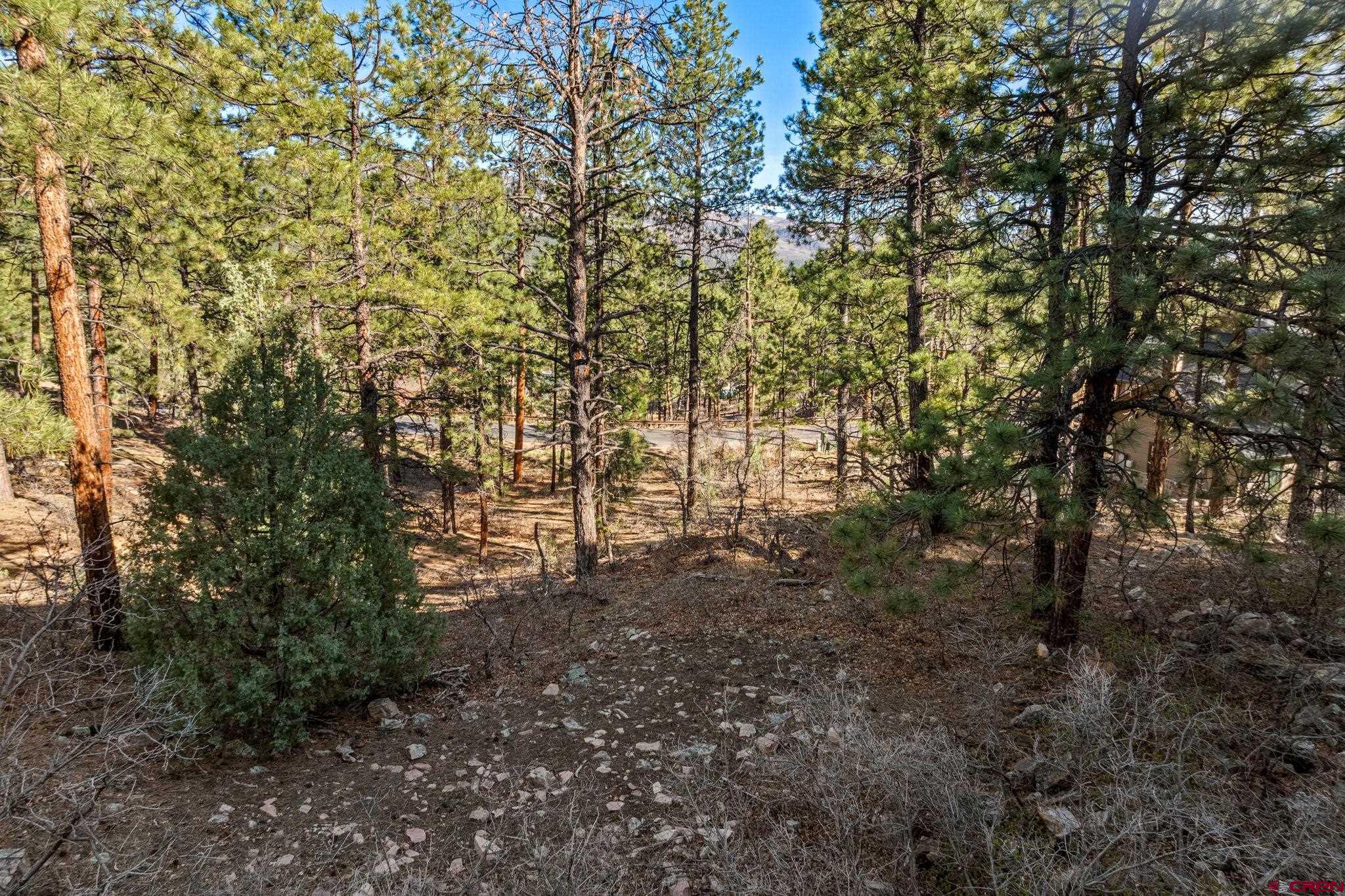 47 Ambush Canyon Durango, CO 81301 - Photo 12 of 18
