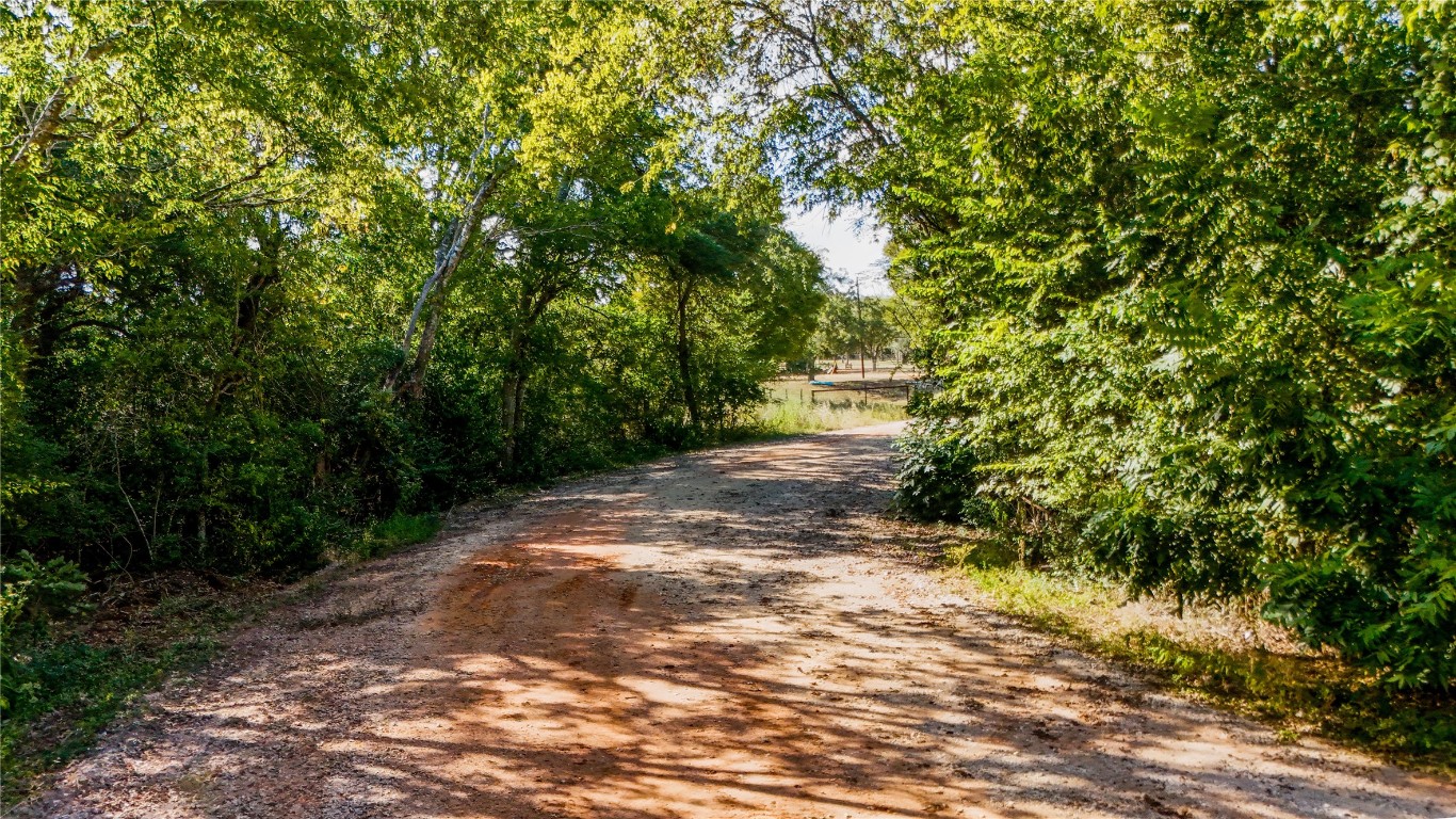 Tbd High Crossing Road Smithville, TX 78957 - Photo 5 of 9 a view of a yard with plants and large trees