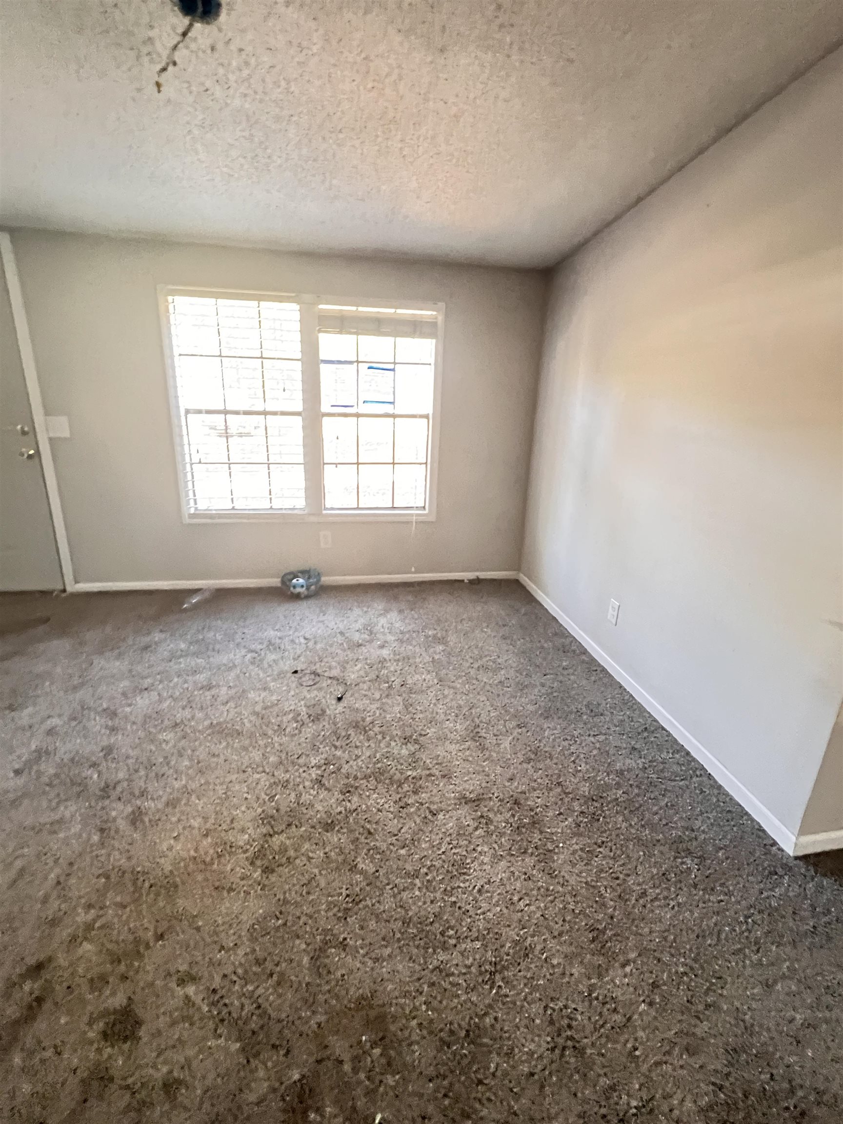 307 Bowling Green Road Marion, SC 29571 - Photo 4 of 7