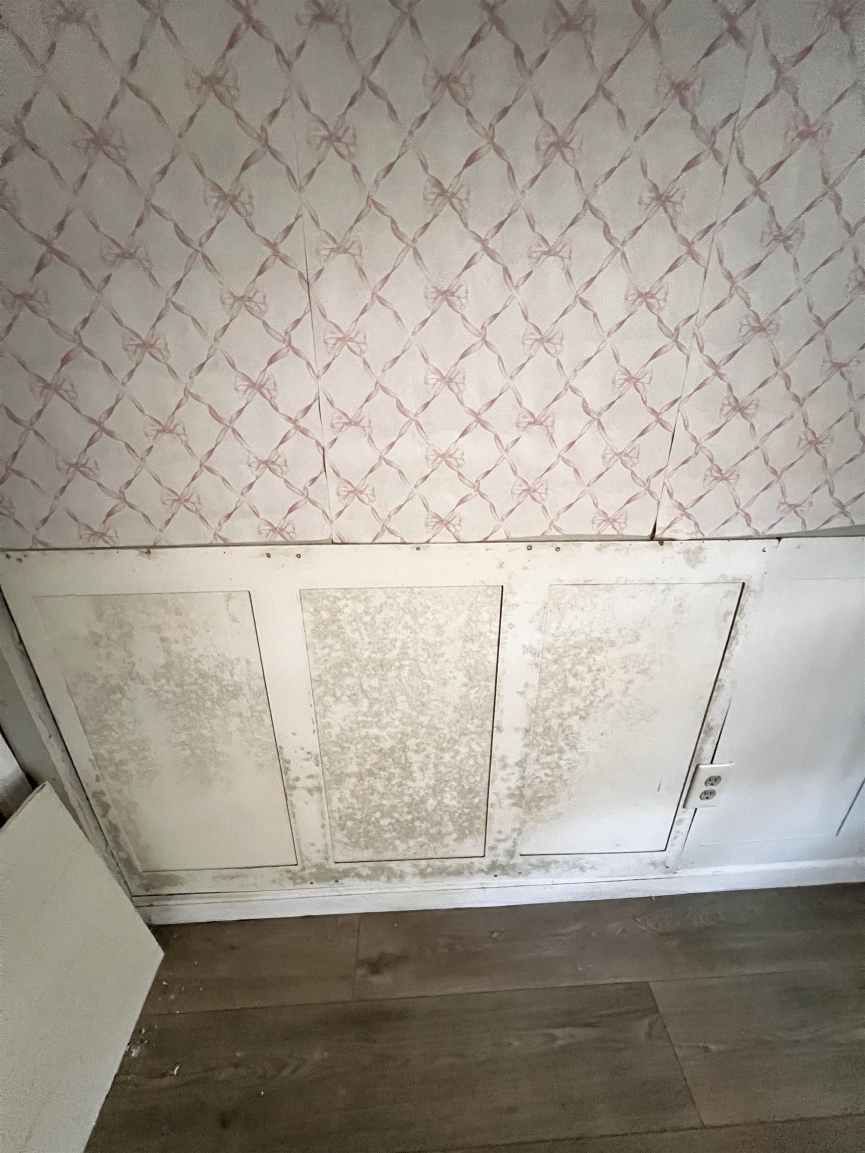 307 Bowling Green Road Marion, SC 29571 - Photo 5 of 7