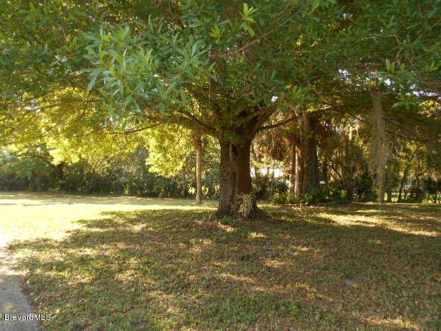 3900 Harlock Road Melbourne, FL 32934 - Photo 17 of 17 YARD