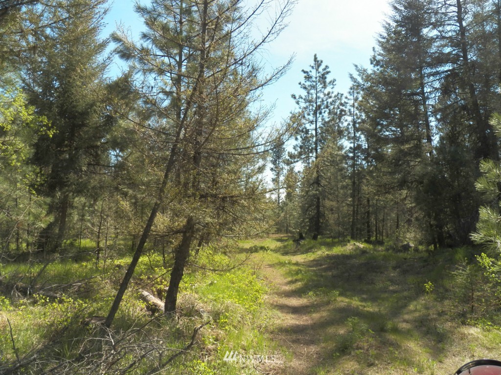 139 Fs 3525 Road Tonasket, WA 98855 - Photo 4 of 15 Gallery Image 4
