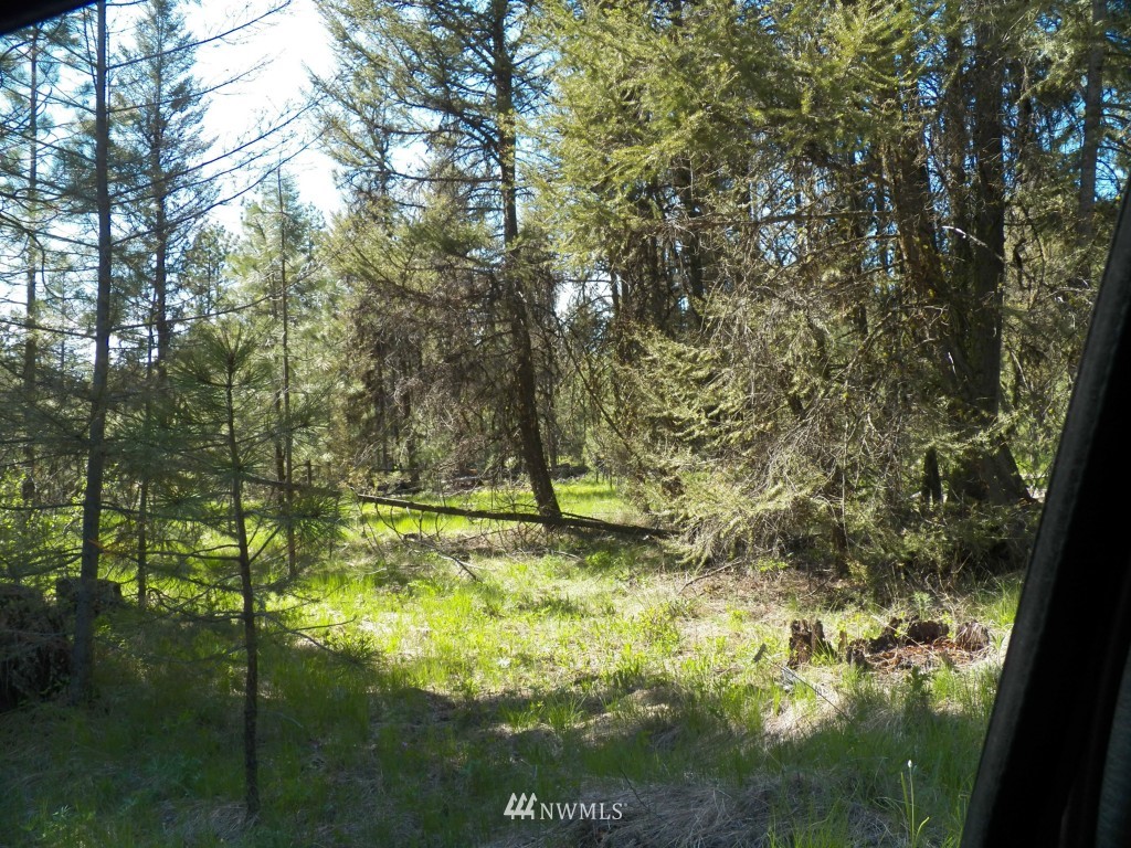 139 Fs 3525 Road Tonasket, WA 98855 - Photo 5 of 15 Gallery Image 5