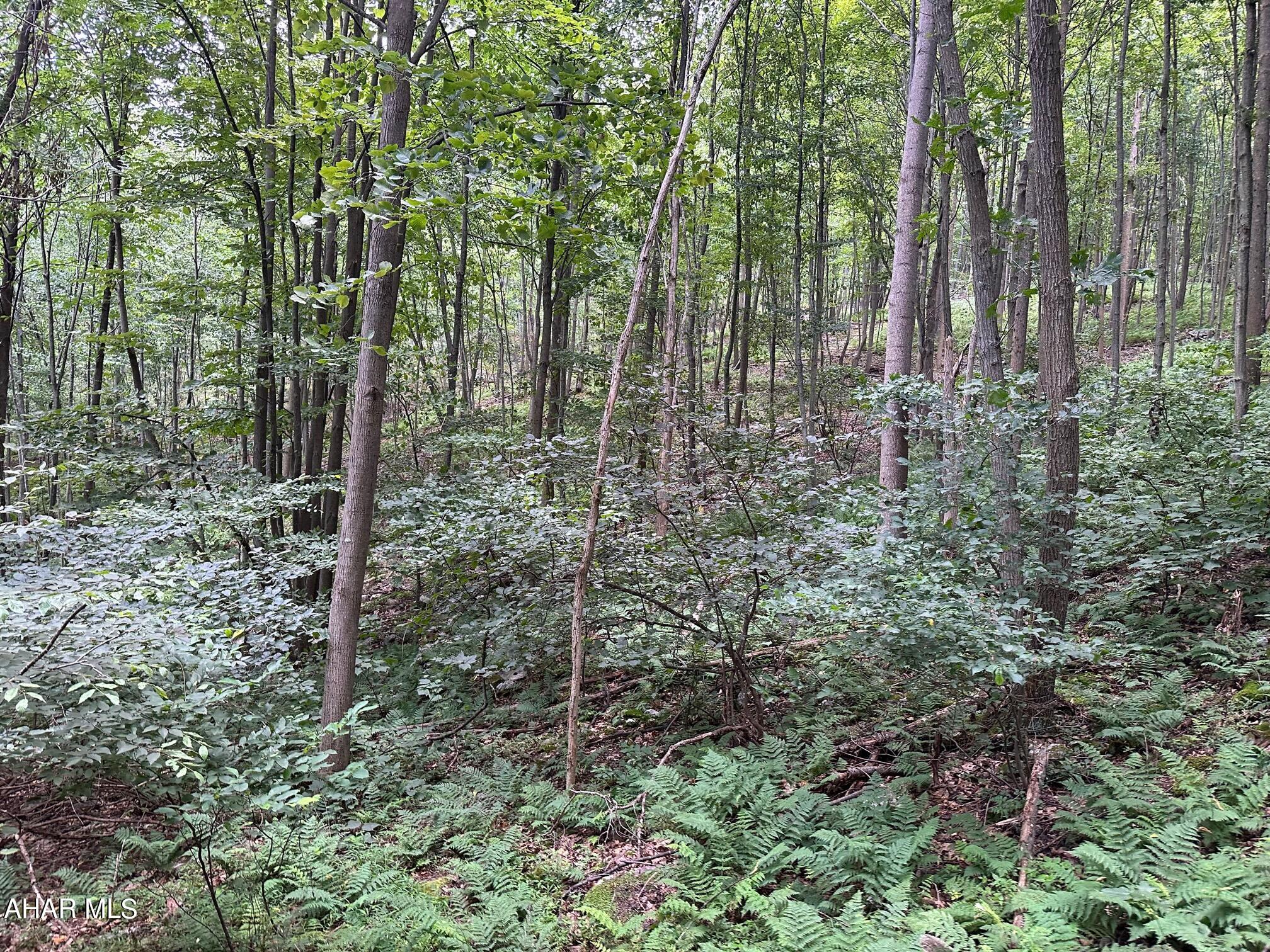 Lot #1 Louks Road Bedford, PA 15522 - Photo 6 of 10 Gallery Image 6
