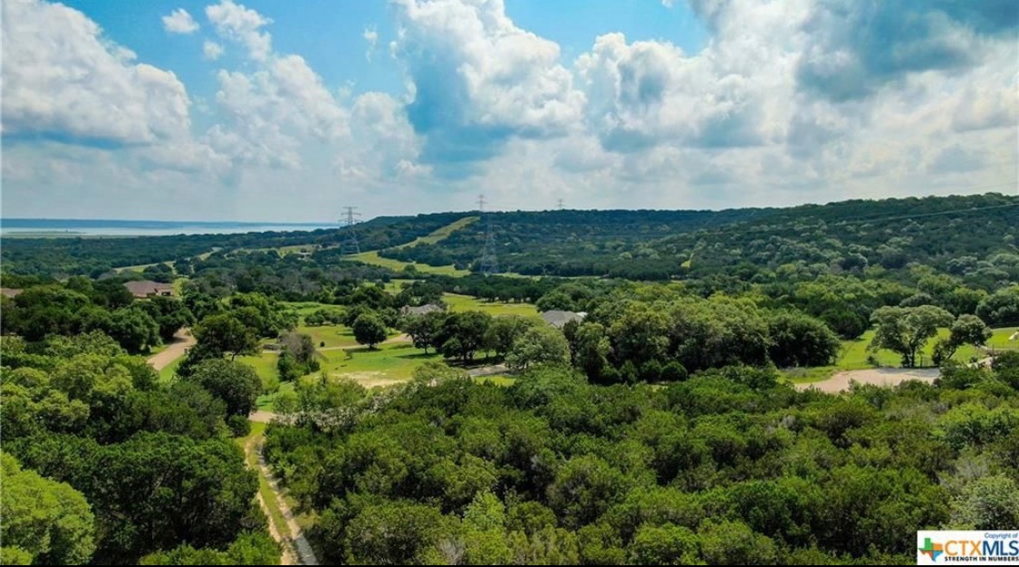 1337 Windy Hill Road Salado, TX 76571 - Photo 7 of 7 Hill country views
