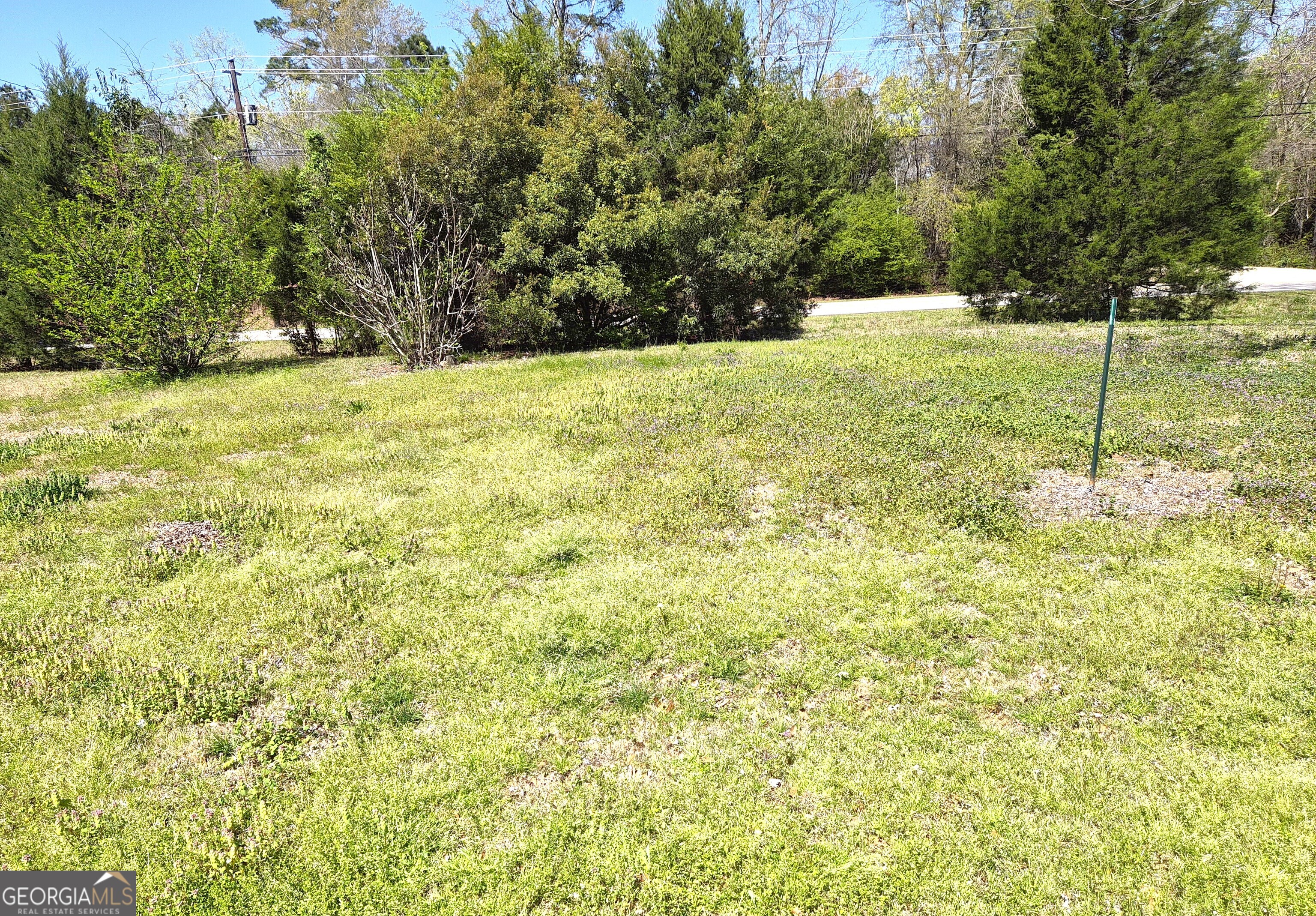 12122 Warm Springs Road Ellerslie, GA 31807 - Photo 16 of 16