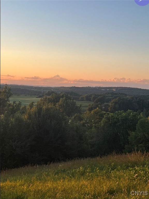 3992 Center Road Madison, NY 13402 - Photo 8 of 27