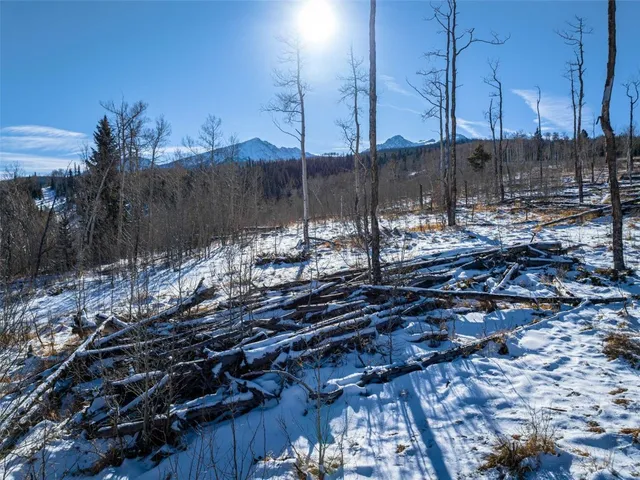 a view of a large yard