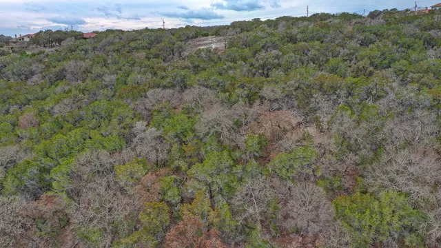 a view of a valley with a mountain in the background