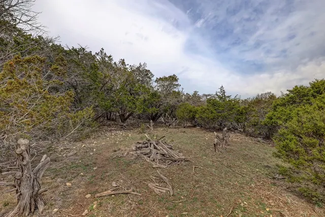 a view of a dry yard with trees in the background