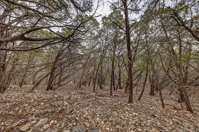 a view of outdoor space