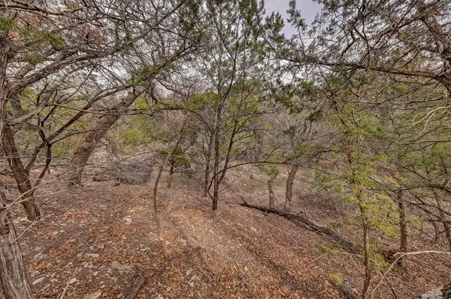 a view of outdoor space and a yard