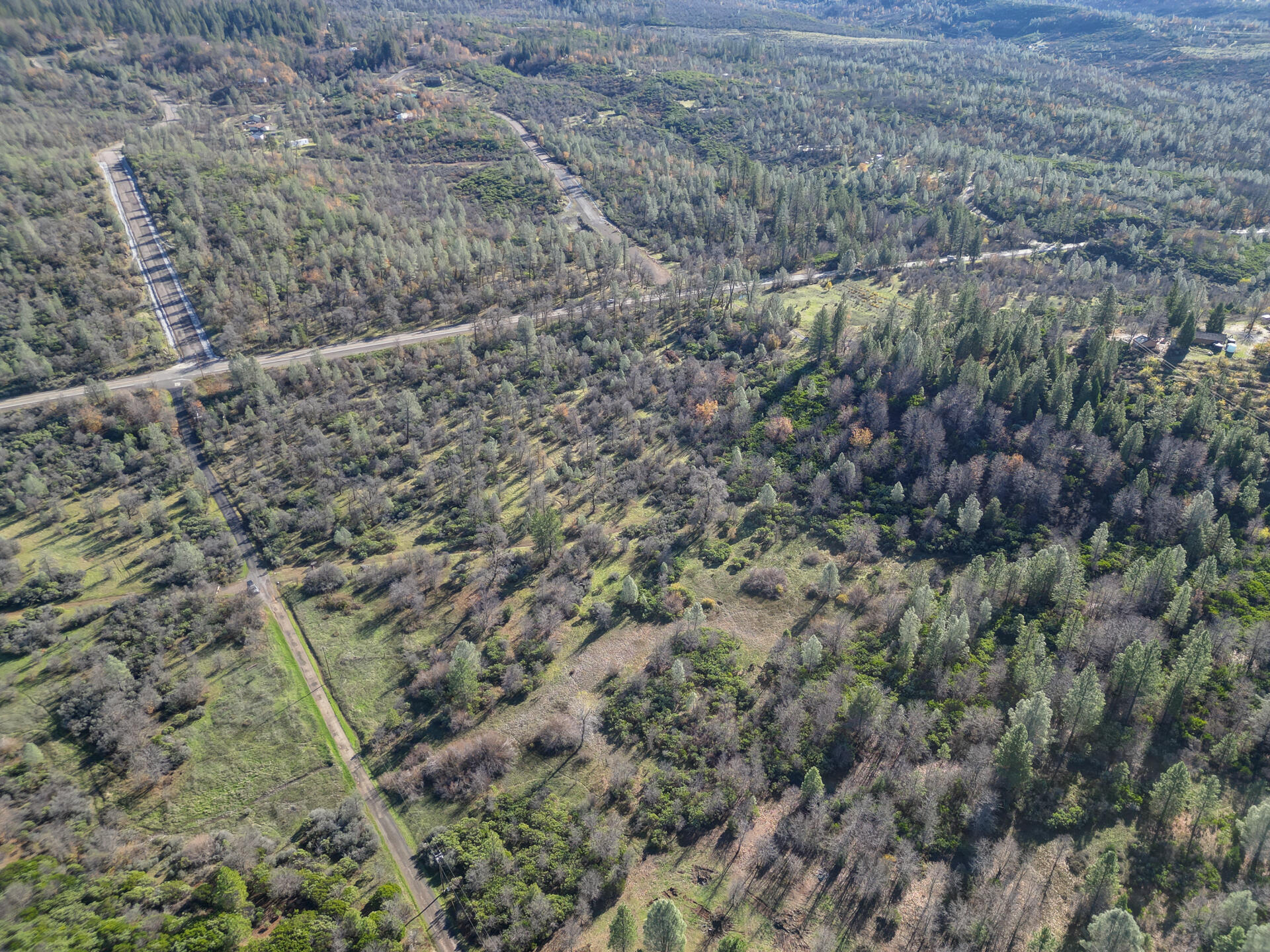 15.77 Acres Dittman Road Montgomery Creek, CA 96065 - Photo 21 of 26 IMG_3343