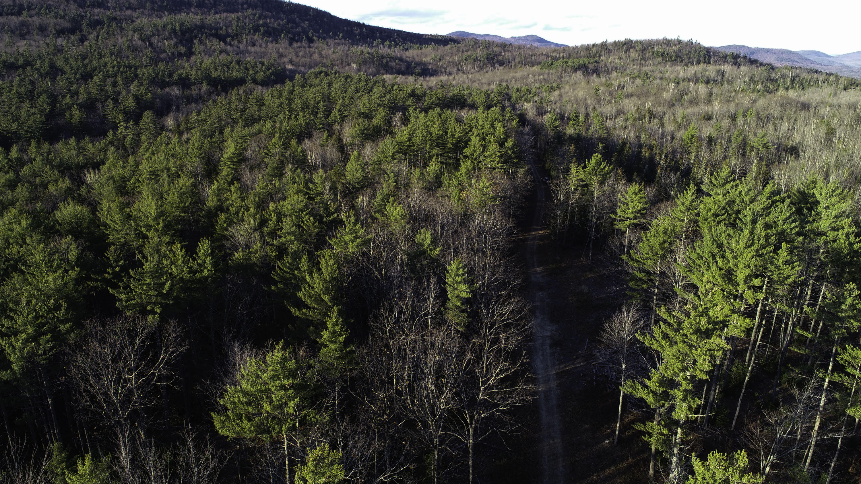 116 Chase Road Bethel, ME 04217 - Photo 32 of 47 DJI_0092