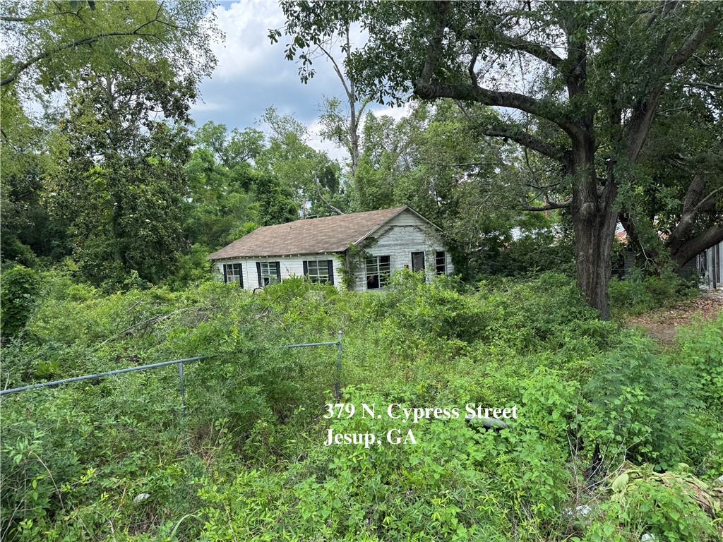 0 East Oak Street Jesup, GA 31546 - Photo 11 of 13