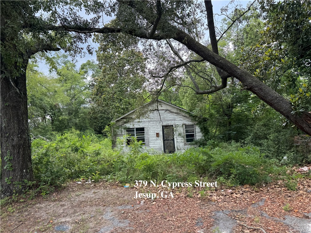 0 East Oak Street Jesup, GA 31546 - Photo 12 of 13