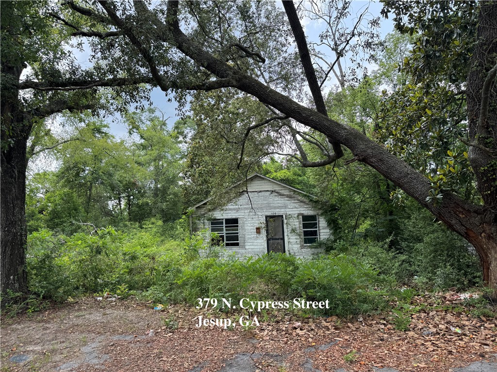 0 East Oak Street Jesup, GA 31546 - Photo 13 of 13