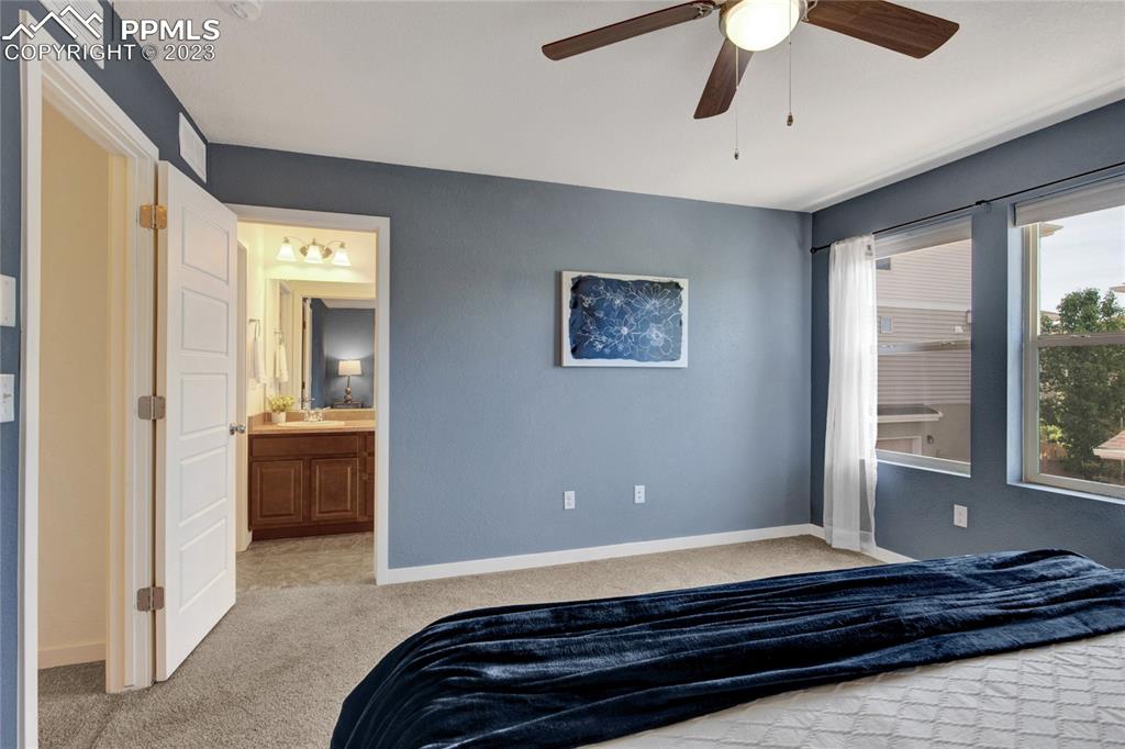 4118 Elegant Street Castle Rock, CO 80109 - Photo 16 of 26 a bedroom with a bed and a window