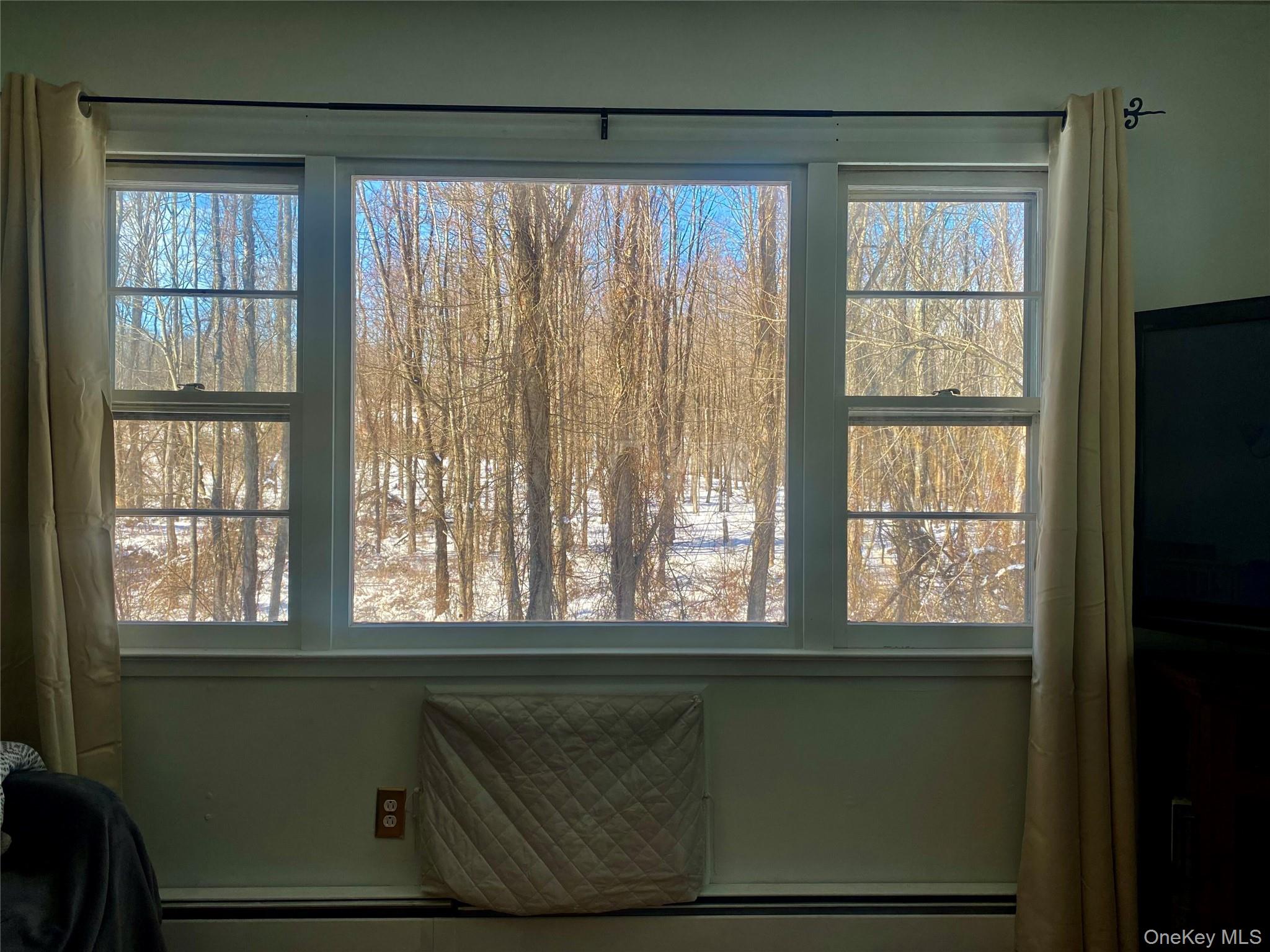 182 Downing Road Pleasant Valley, NY 12569 - Photo 5 of 29 Picture window in living room overlooking property
