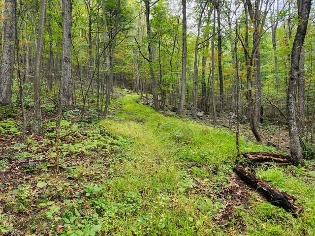 Rocky Branch Road Luray, VA 22835 - Photo 4 of 14 a view of outdoor space and a yard