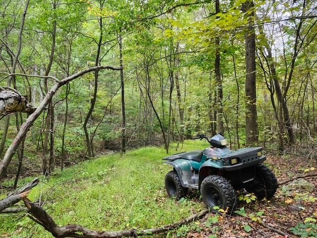 Rocky Branch Road Luray, VA 22835 - Photo 5 of 14 a backyard of a house with lots of green space