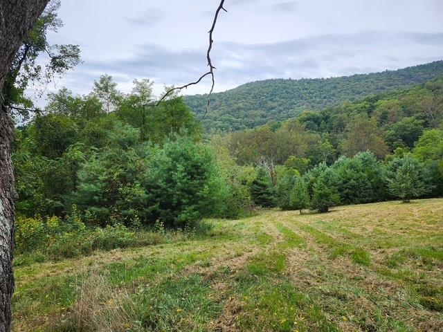 Rocky Branch Road Luray, VA 22835 - Photo 6 of 14 a view of a green field with lots of bushes