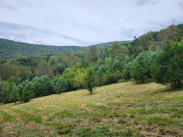 Rocky Branch Road Luray, VA 22835 - Photo 7 of 14 a view of outdoor space and yard