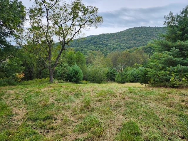 Rocky Branch Road Luray, VA 22835 - Photo 8 of 14 a big yard with lots of green space